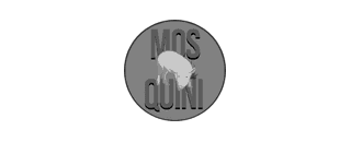 Mosquini